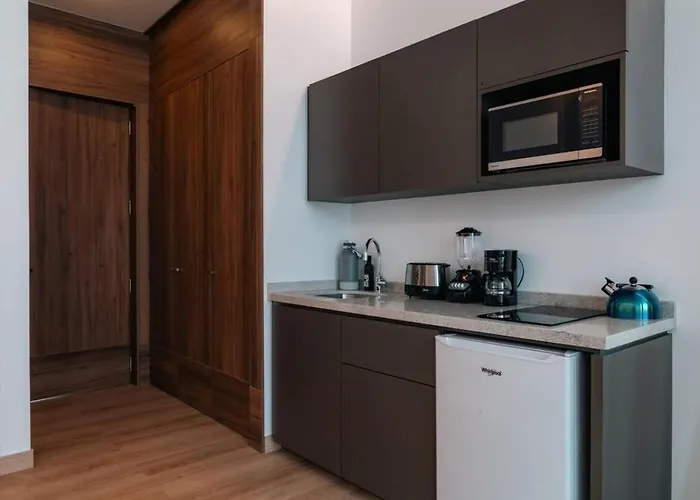 Condesa - Roma Luxury 304